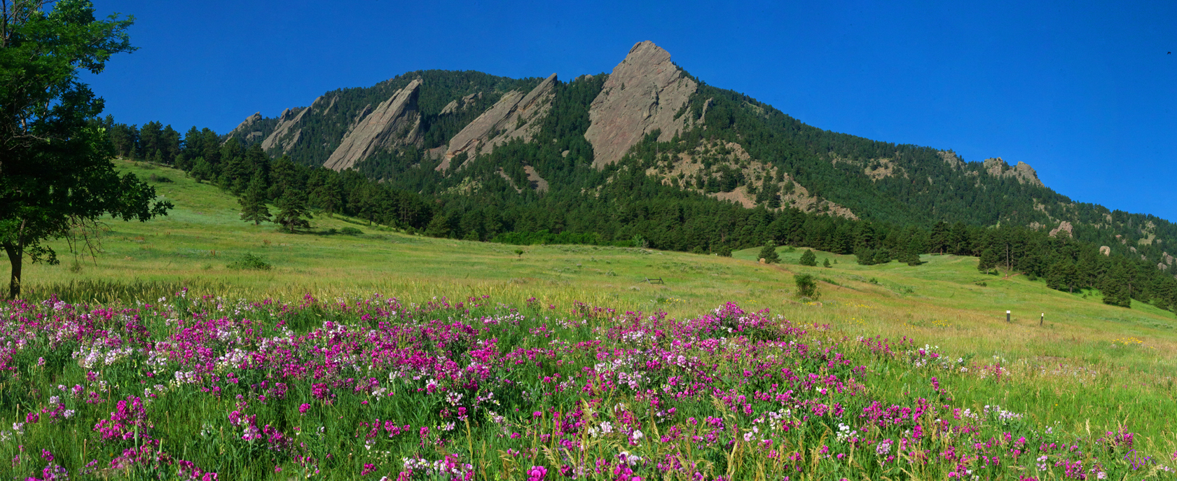 Summer at The Boulder Flatirons